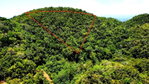 First image of Rock Hall in Rock Hall, St. Andrew, Jamaica - property is For Sale