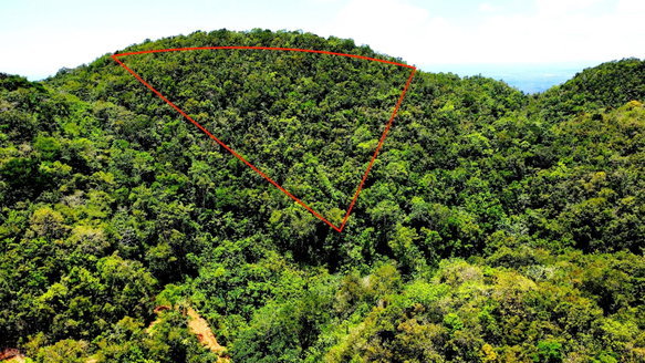 First image of Rock Hall in Rock Hall, St. Andrew, Jamaica - property is For Sale
