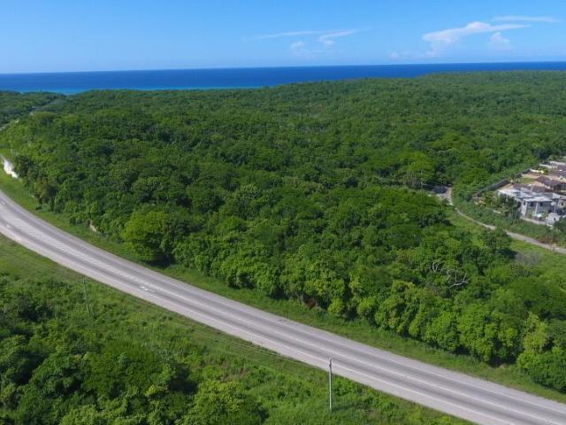 Fourth image of New Court in Falmouth, Trelawny, Jamaica - property is For Sale