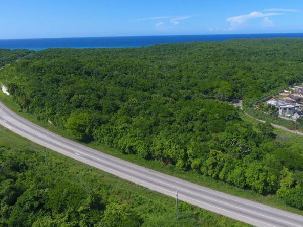 Fourth image of New Court in Falmouth, Trelawny, Jamaica - property is For Sale