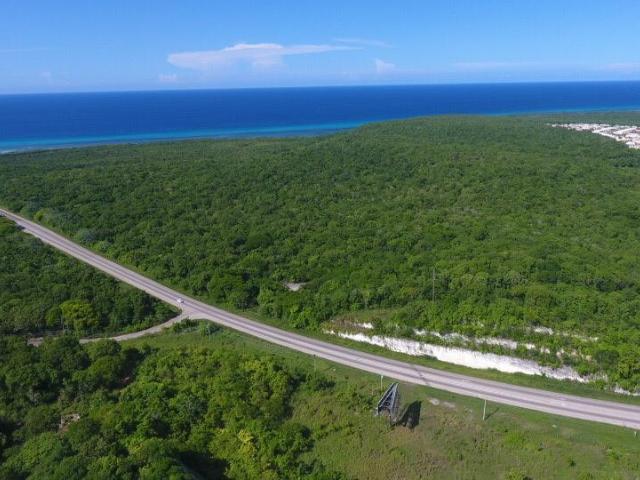Eighth image of New Court in Falmouth, Trelawny, Jamaica - property is For Sale
