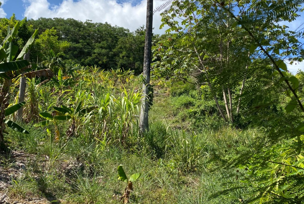Eleventh image of Part of Lot 1039 Cardiff in Runaway Bay, St. Ann, Jamaica - property is For Sale