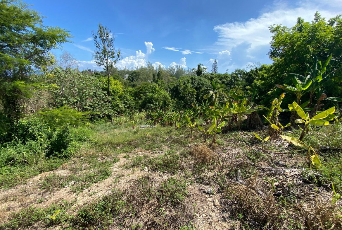 Twelfth image of Part of Lot 1039 Cardiff in Runaway Bay, St. Ann, Jamaica - property is For Sale