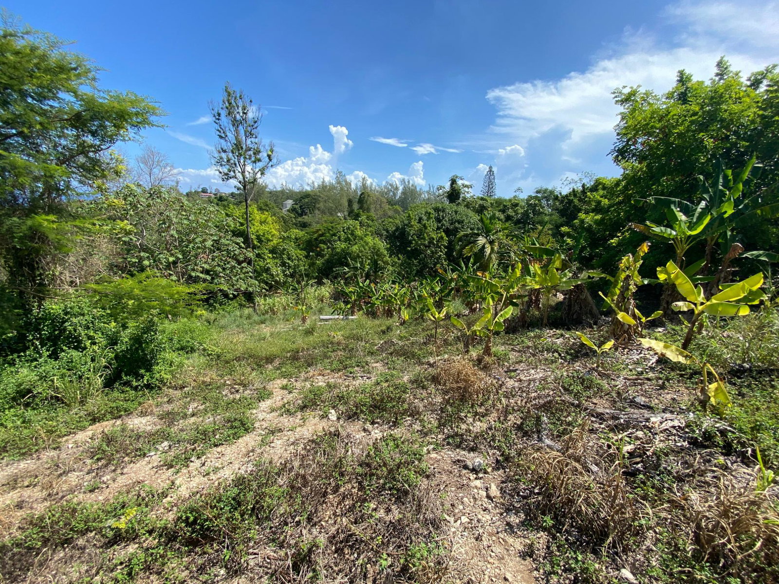 Twelfth image of Part of Lot 1039 Cardiff in Runaway Bay, St. Ann, Jamaica - property is For Sale