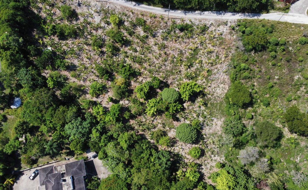 First image of Part of Lot 1039 Cardiff in Runaway Bay, St. Ann, Jamaica - property is For Sale