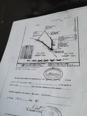 Third image of Part of Lot 1039 Cardiff in Runaway Bay, St. Ann, Jamaica - property is For Sale