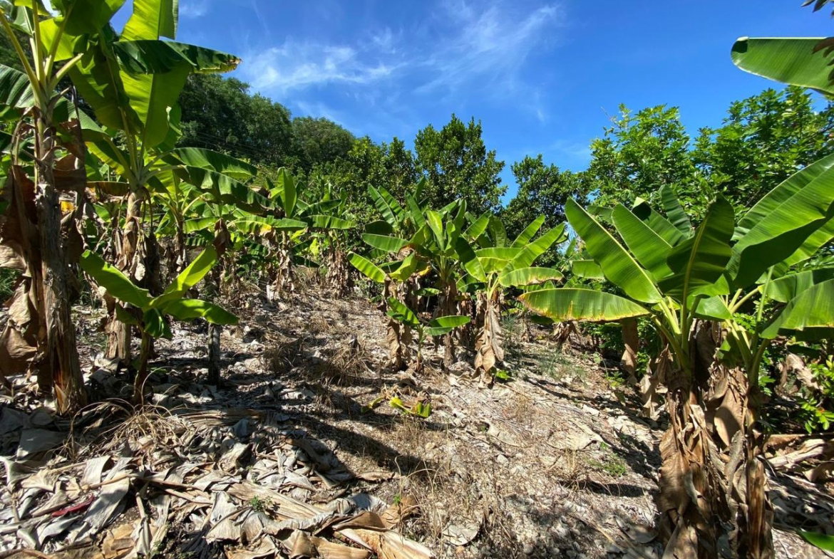 Fifth image of Part of Lot 1039 Cardiff in Runaway Bay, St. Ann, Jamaica - property is For Sale