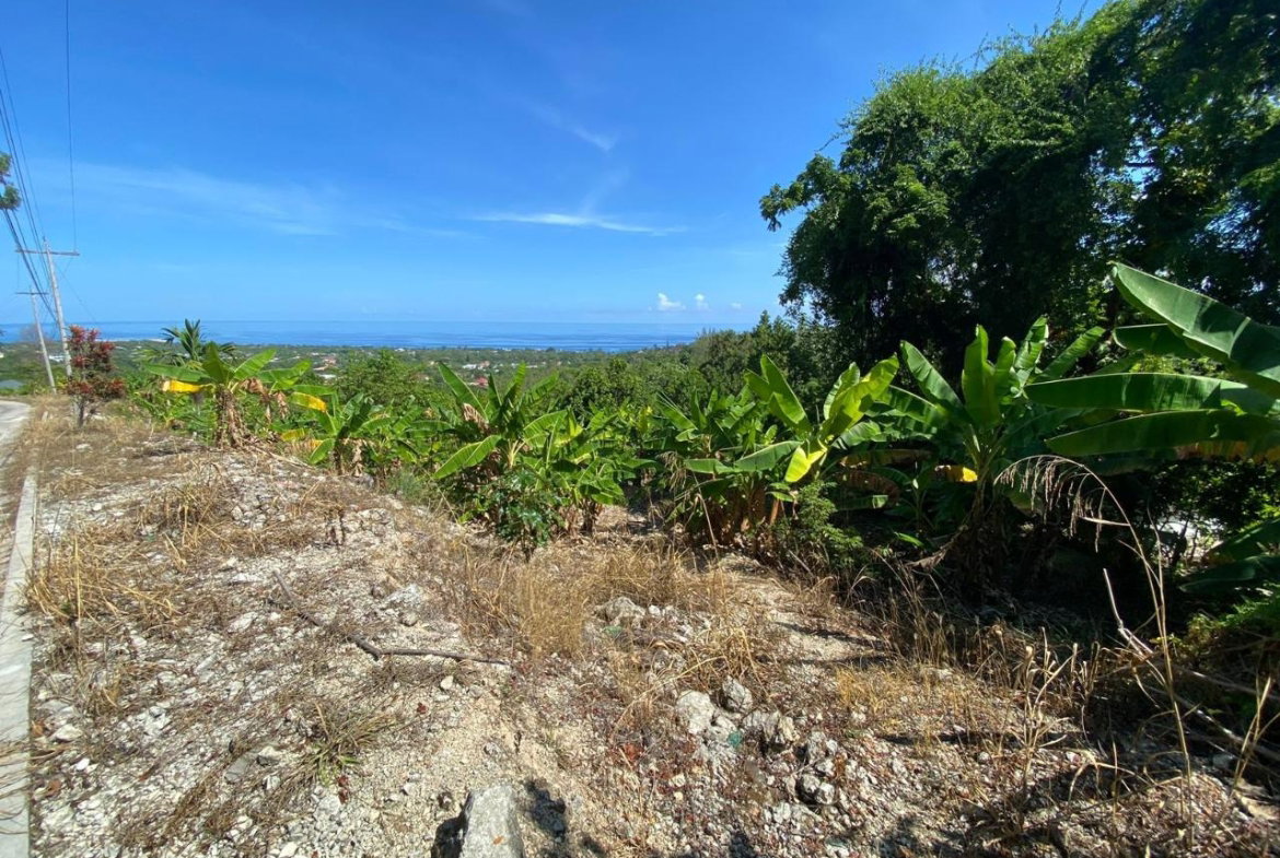 Sixth image of Part of Lot 1039 Cardiff in Runaway Bay, St. Ann, Jamaica - property is For Sale