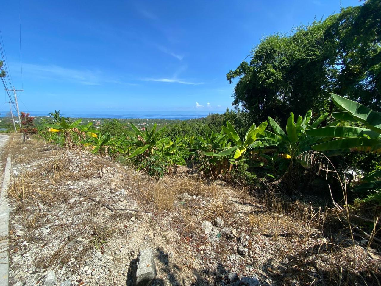 Sixth image of Part of Lot 1039 Cardiff in Runaway Bay, St. Ann, Jamaica - property is For Sale