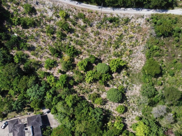 First image of Part of Lot 1039 Cardiff in Runaway Bay, St. Ann, Jamaica - property is For Sale