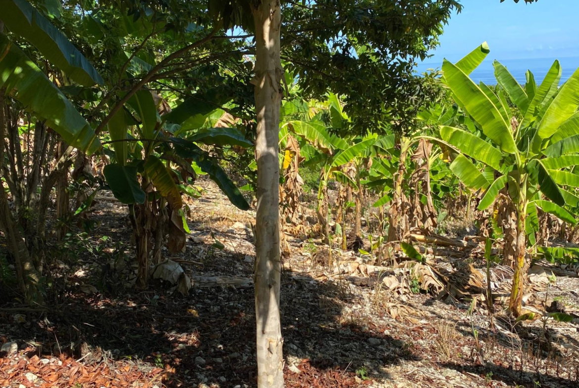 Eighth image of Part of Lot 1039 Cardiff in Runaway Bay, St. Ann, Jamaica - property is For Sale