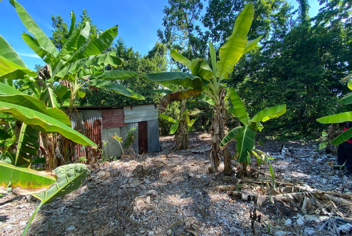 Ninth image of Part of Lot 1039 Cardiff in Runaway Bay, St. Ann, Jamaica - property is For Sale