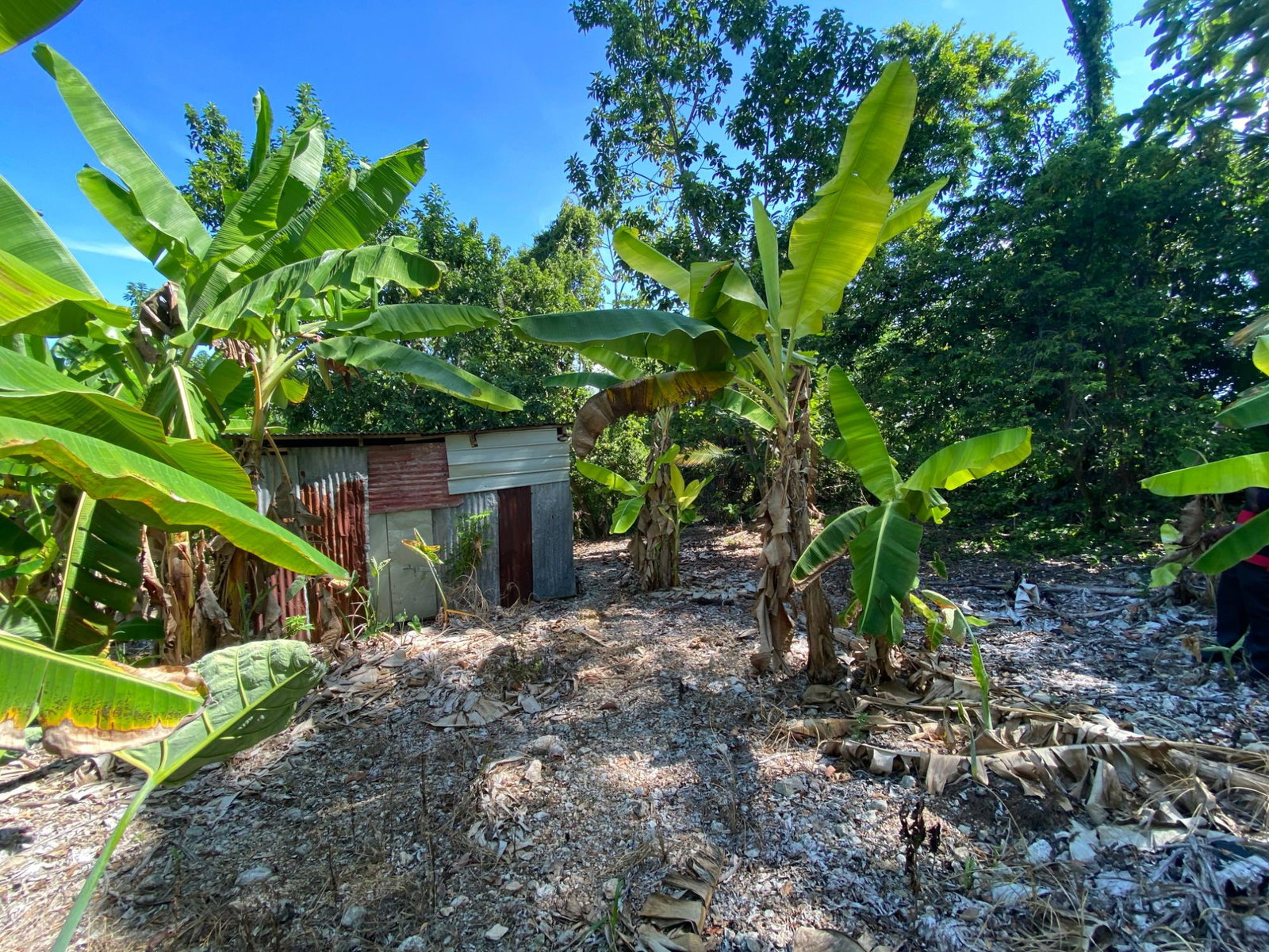 Ninth image of Part of Lot 1039 Cardiff in Runaway Bay, St. Ann, Jamaica - property is For Sale