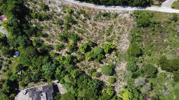 First image of Part of Lot 1039 Cardiff in Runaway Bay, St. Ann, Jamaica - property is For Sale