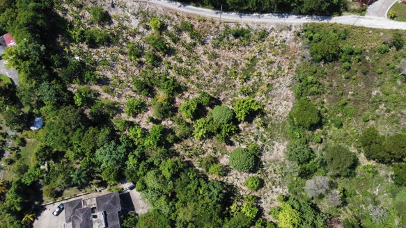 First image of Part of Lot 1039 Cardiff in Runaway Bay, St. Ann, Jamaica - property is For Sale