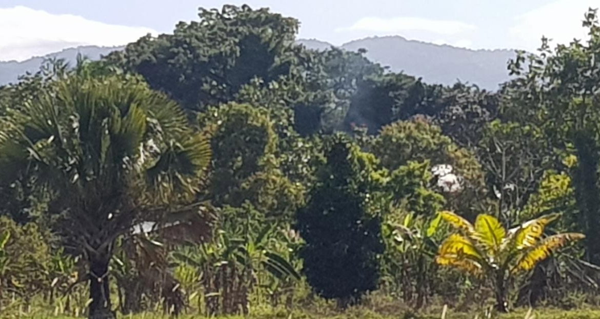 First image of Smithfield in Savanna-La-Mar, Westmoreland, Jamaica - property is For Sale