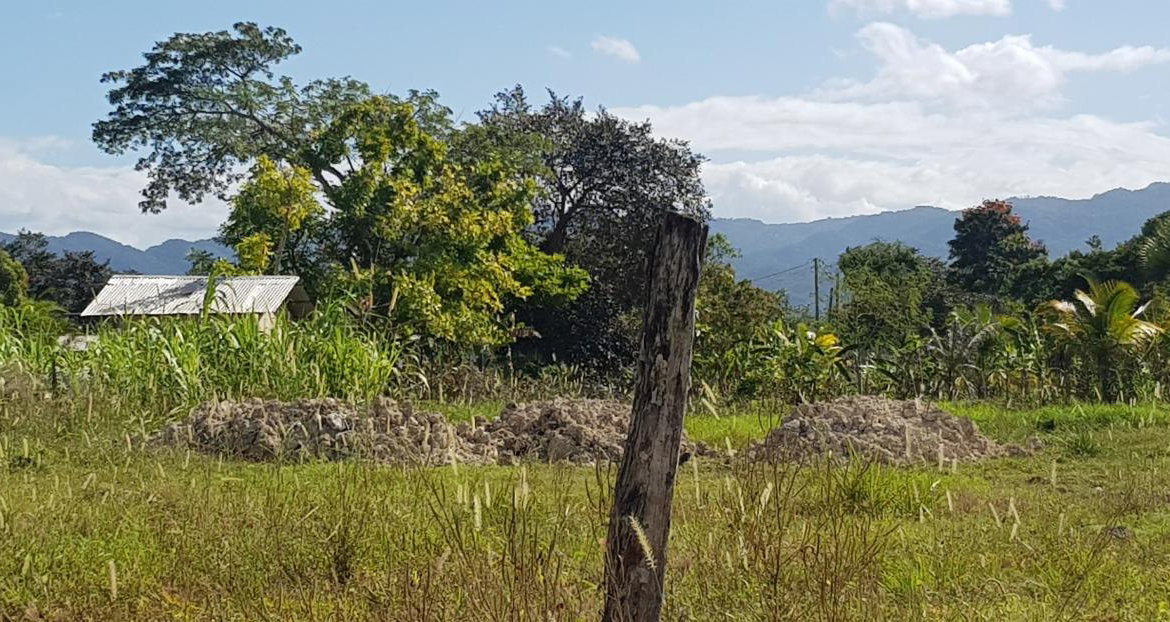 Third image of Smithfield in Savanna-La-Mar, Westmoreland, Jamaica - property is For Sale