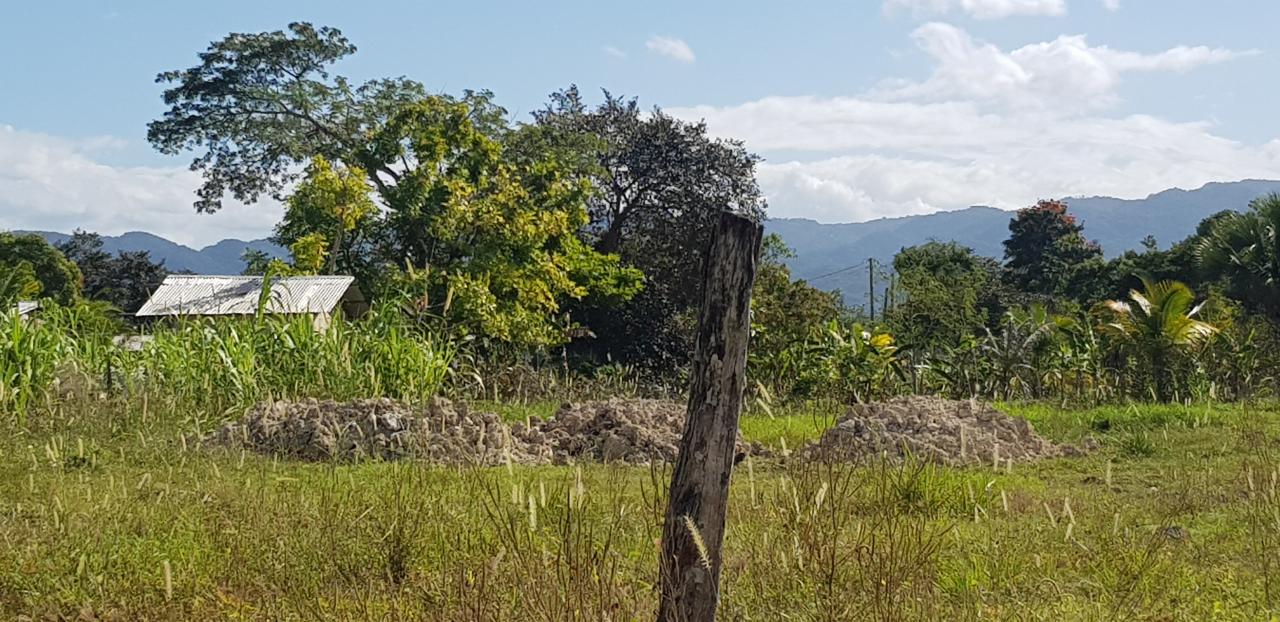 Third image of Smithfield in Savanna-La-Mar, Westmoreland, Jamaica - property is For Sale
