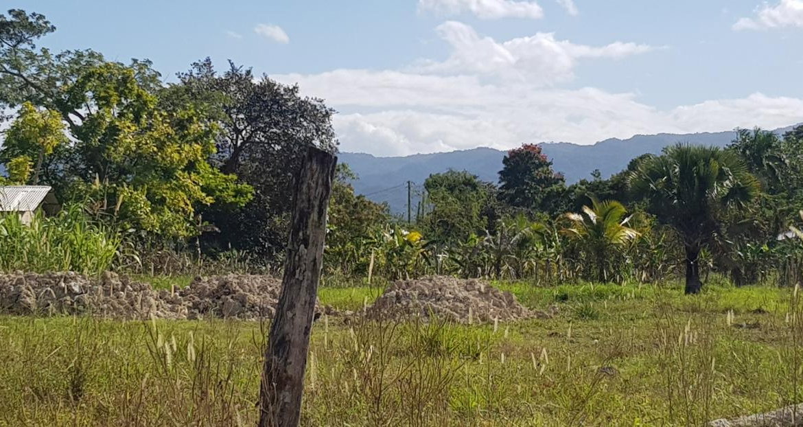 Fourth image of Smithfield in Savanna-La-Mar, Westmoreland, Jamaica - property is For Sale