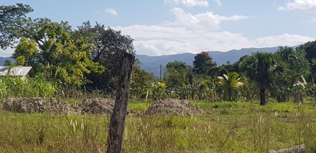 Fourth image of Smithfield in Savanna-La-Mar, Westmoreland, Jamaica - property is For Sale