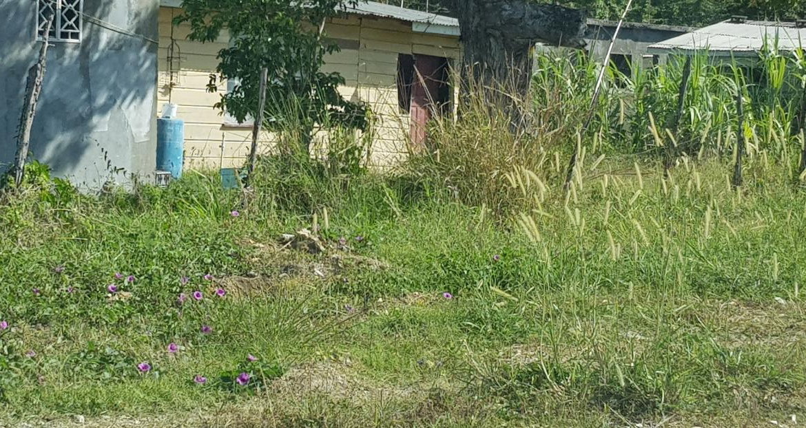 Fifth image of Smithfield in Savanna-La-Mar, Westmoreland, Jamaica - property is For Sale