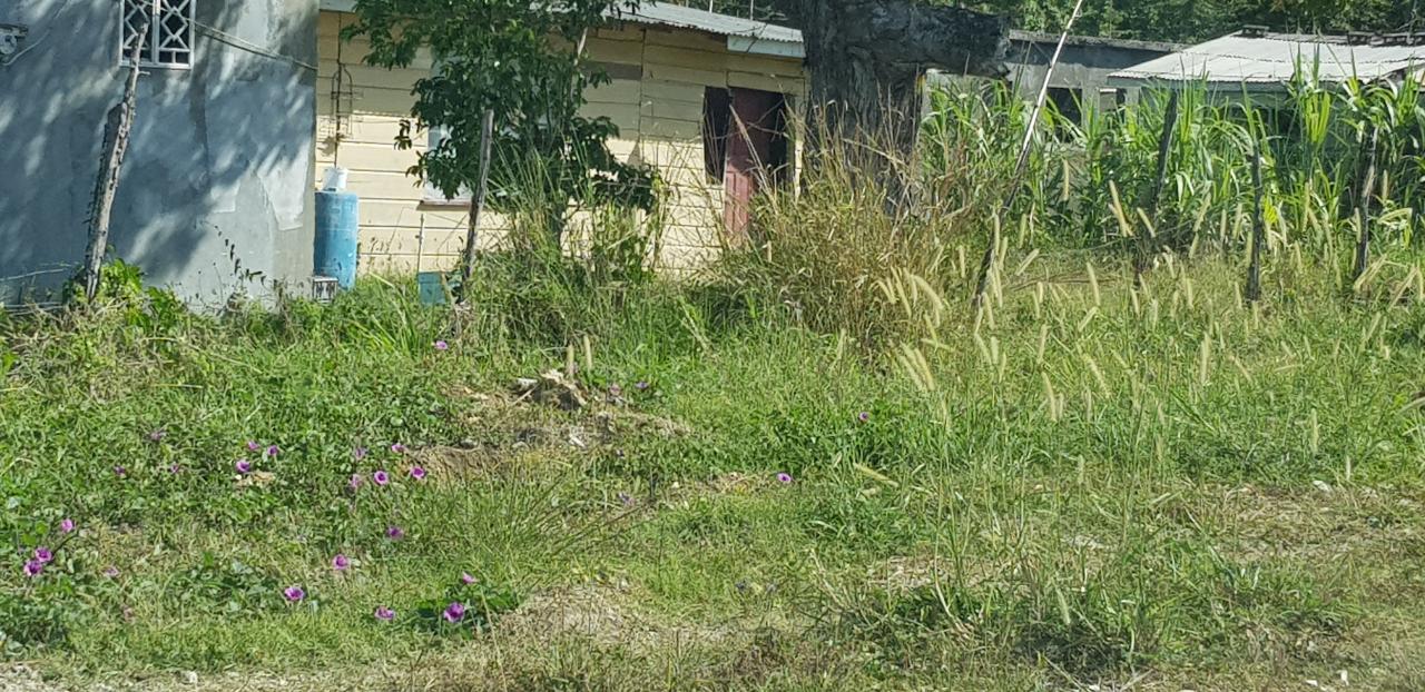 Fifth image of Smithfield in Savanna-La-Mar, Westmoreland, Jamaica - property is For Sale