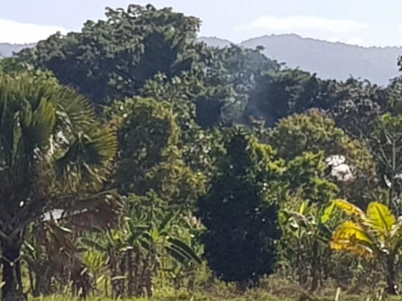 First image of Smithfield in Savanna-La-Mar, Westmoreland, Jamaica - property is For Sale