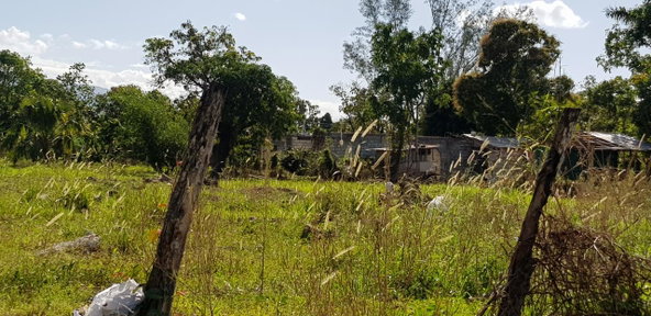 Tenth image of Smithfield in Savanna-La-Mar, Westmoreland, Jamaica - property is For Sale
