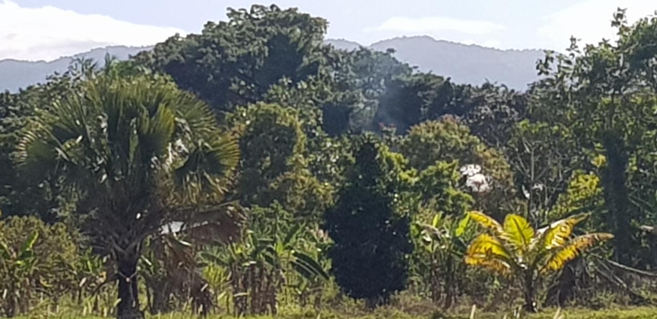 First image of Smithfield in Savanna-La-Mar, Westmoreland, Jamaica - property is For Sale
