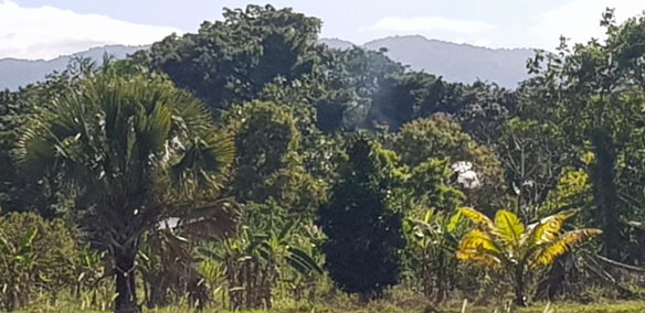 First image of Smithfield in Savanna-La-Mar, Westmoreland, Jamaica - property is For Sale