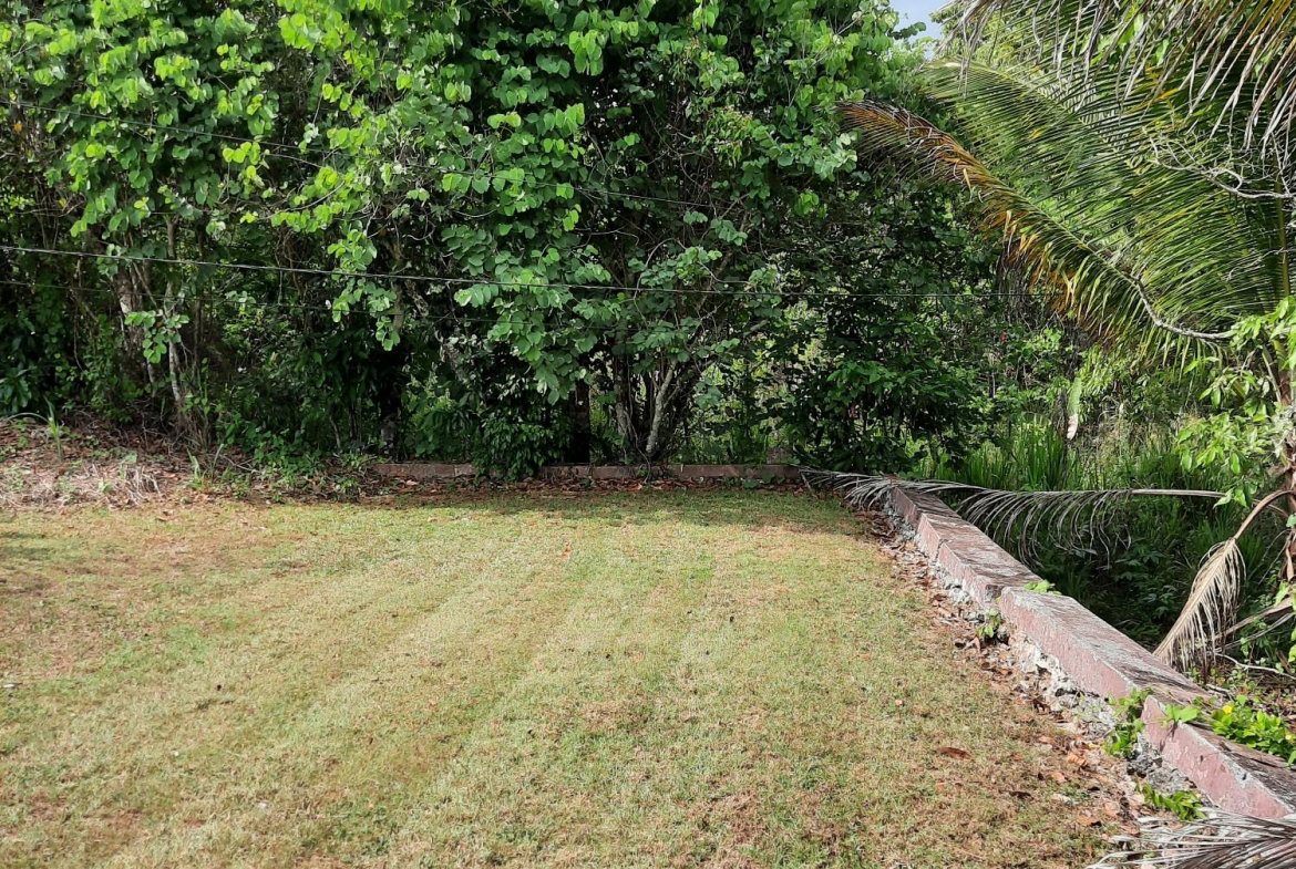 Eleventh image of Knockpatrick, Manchester in Mandeville, Manchester, Jamaica - property is For Sale