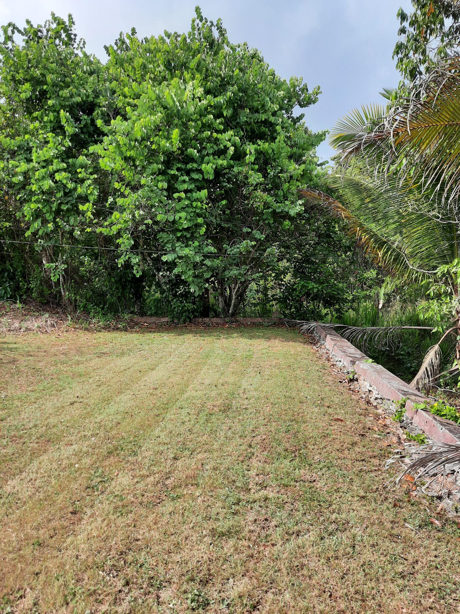 Eleventh image of Knockpatrick, Manchester in Mandeville, Manchester, Jamaica - property is For Sale