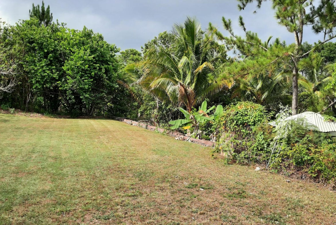 Thirteenth image of Knockpatrick, Manchester in Mandeville, Manchester, Jamaica - property is For Sale