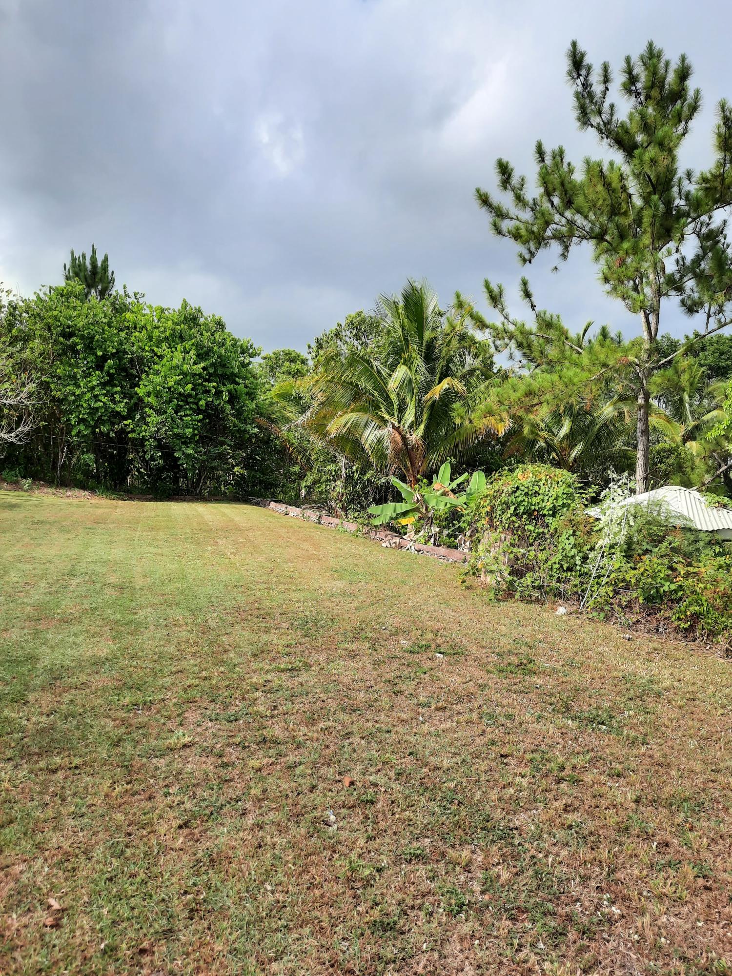 Thirteenth image of Knockpatrick, Manchester in Mandeville, Manchester, Jamaica - property is For Sale