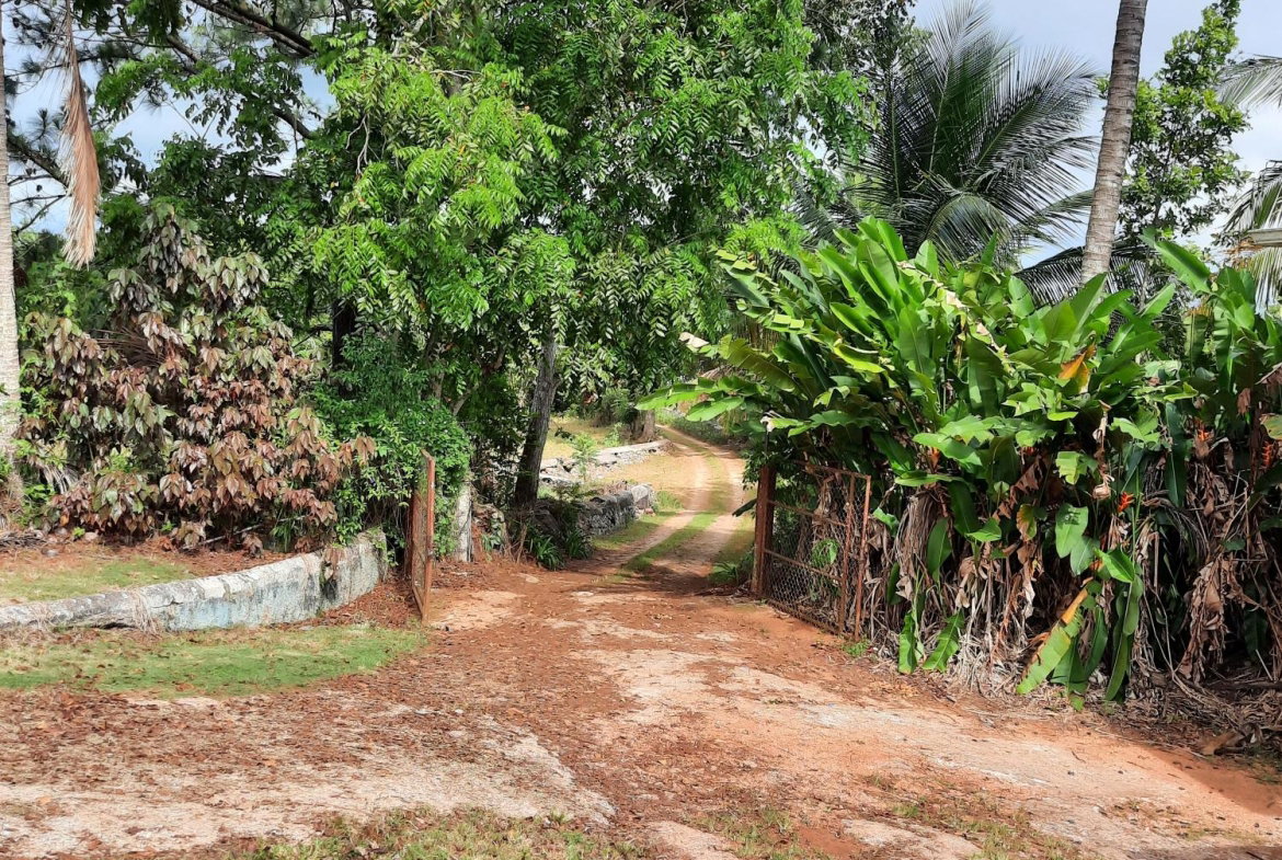 Fifteenth image of Knockpatrick, Manchester in Mandeville, Manchester, Jamaica - property is For Sale