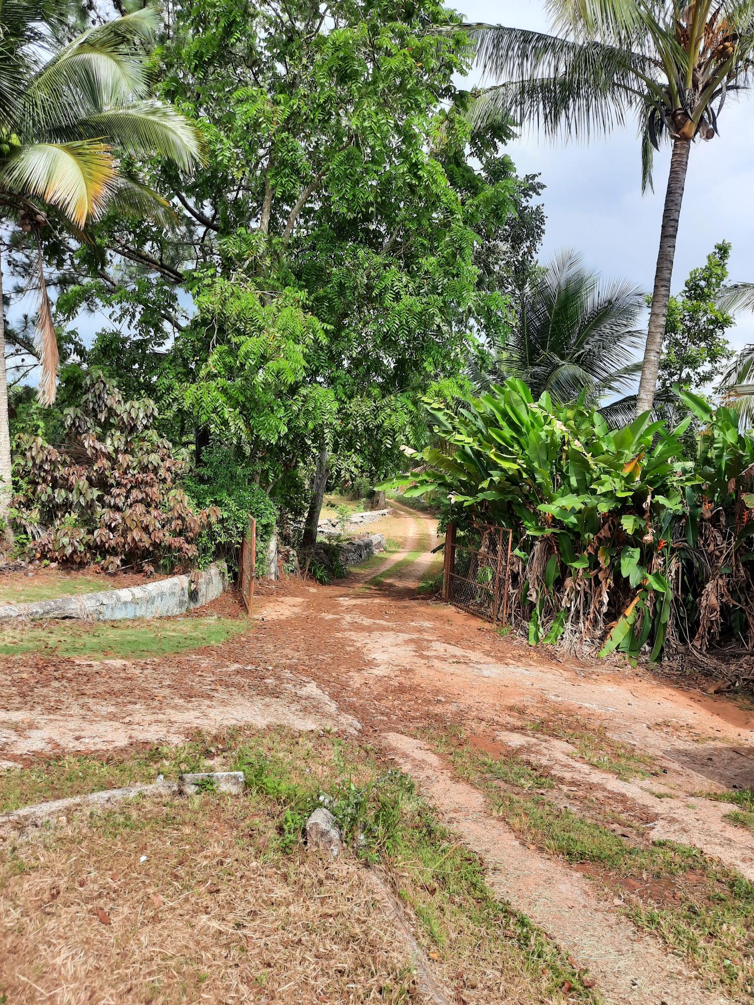 Fifteenth image of Knockpatrick, Manchester in Mandeville, Manchester, Jamaica - property is For Sale