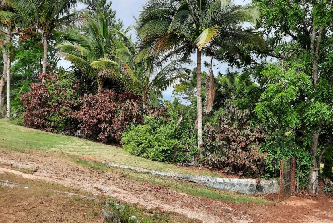 Sixteenth image of Knockpatrick, Manchester in Mandeville, Manchester, Jamaica - property is For Sale