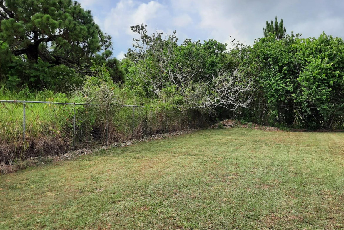 Seventeenth image of Knockpatrick, Manchester in Mandeville, Manchester, Jamaica - property is For Sale