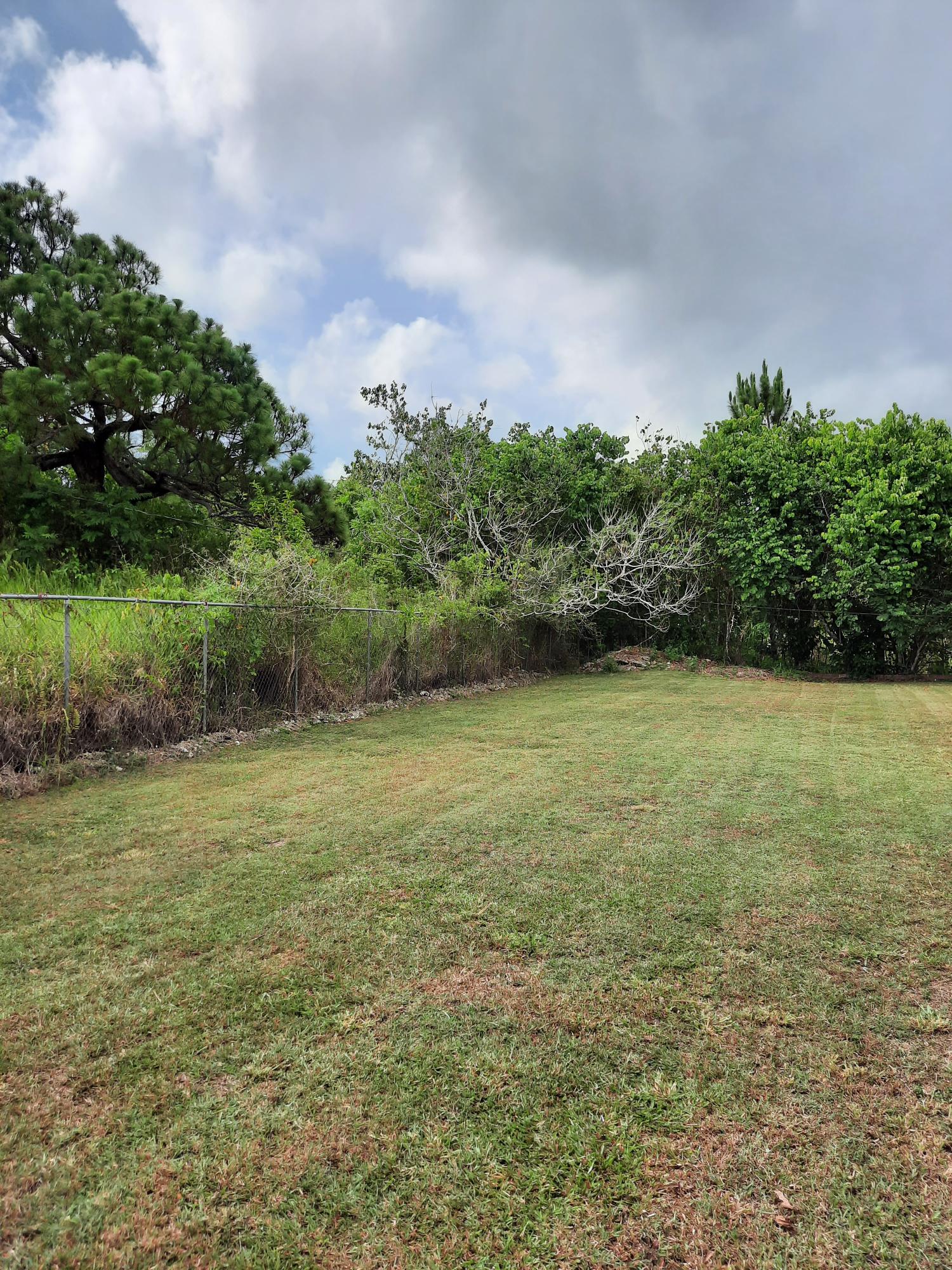 Seventeenth image of Knockpatrick, Manchester in Mandeville, Manchester, Jamaica - property is For Sale