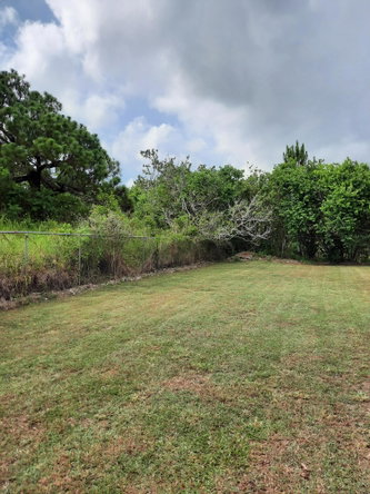 Seventeenth image of Knockpatrick, Manchester in Mandeville, Manchester, Jamaica - property is For Sale