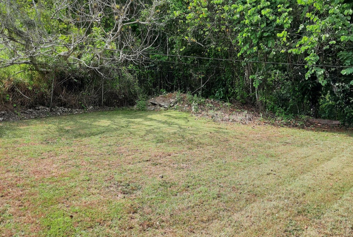 Eighteenth image of Knockpatrick, Manchester in Mandeville, Manchester, Jamaica - property is For Sale