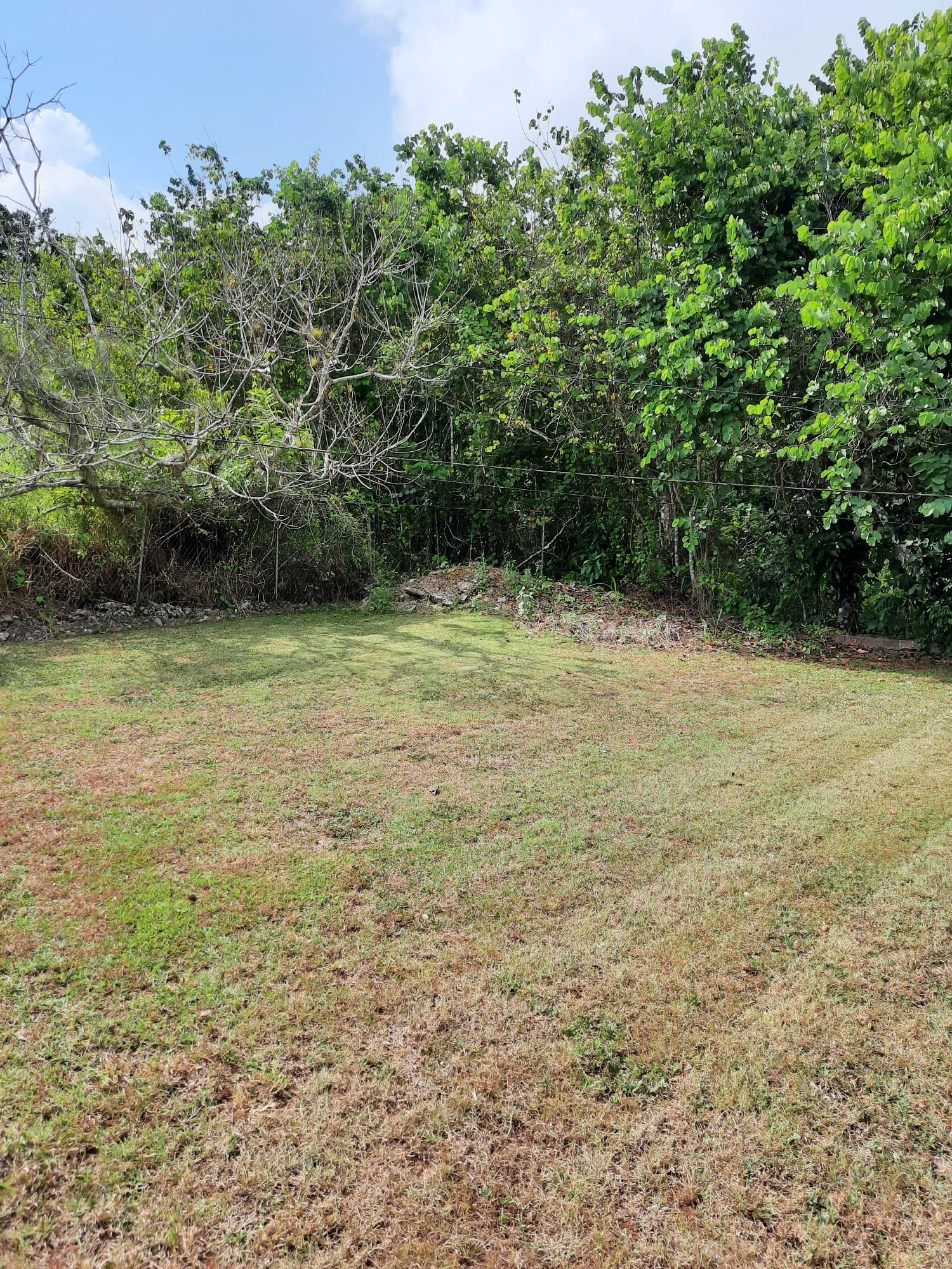 Eighteenth image of Knockpatrick, Manchester in Mandeville, Manchester, Jamaica - property is For Sale