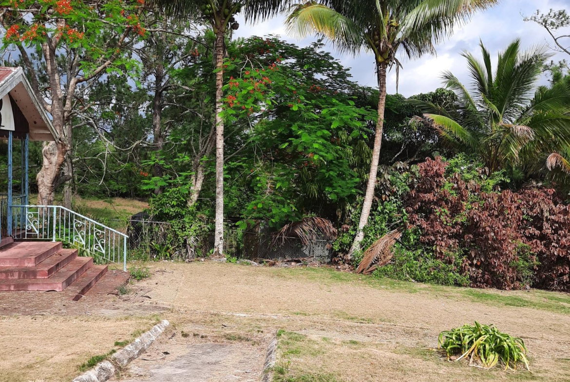 Nineteenth image of Knockpatrick, Manchester in Mandeville, Manchester, Jamaica - property is For Sale