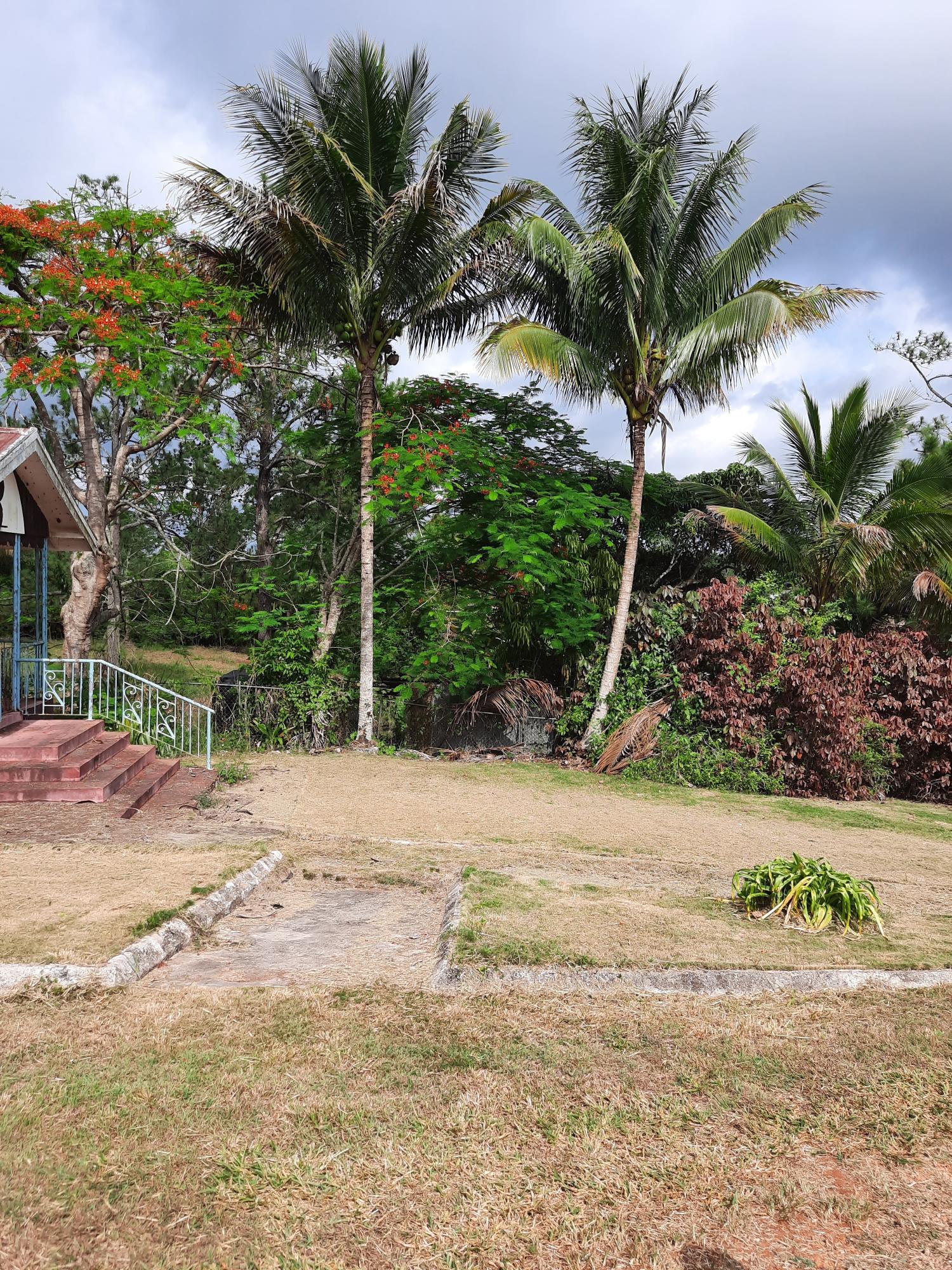 Nineteenth image of Knockpatrick, Manchester in Mandeville, Manchester, Jamaica - property is For Sale