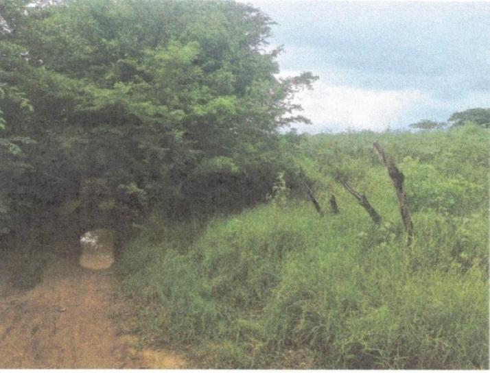 Second image of Lot 117- Part of Pepper in Pepper, St. Elizabeth, Jamaica - property is For Sale