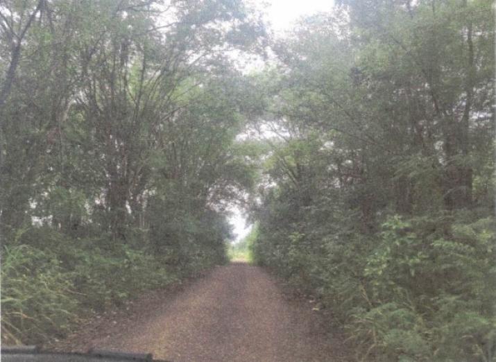 Seventh image of Lot 117- Part of Pepper in Pepper, St. Elizabeth, Jamaica - property is For Sale