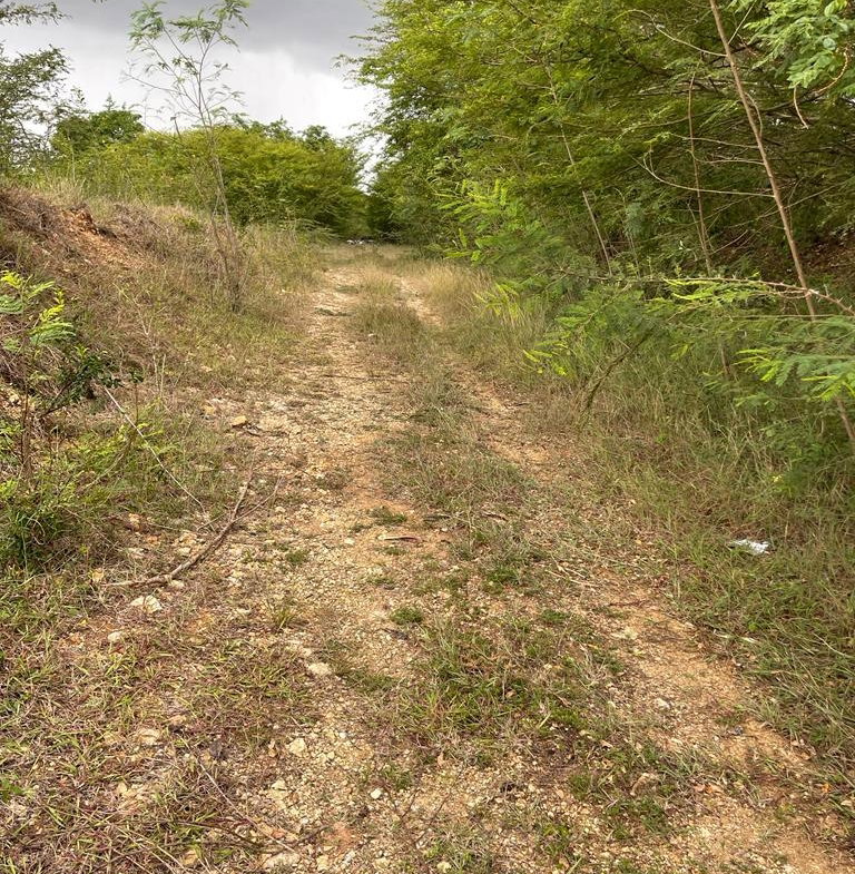 Seventh image of 6a Chateau in May Pen, Clarendon, Jamaica - property is For Sale