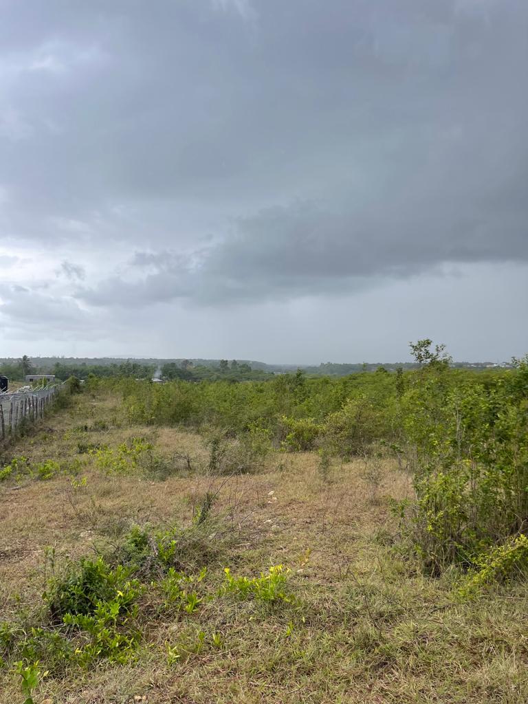 Prime-2.5-Acres-Development-Land-for-Sale-in-Clarendon-Jamaica Ninth image of 6b Chateau in May Pen, Clarendon, Jamaica - property is For Sale