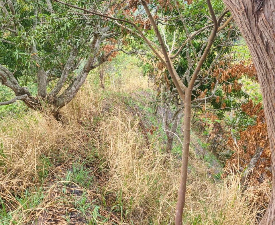 Second image of Hermitage Norbrook Kingst in Kingston 8, St. Andrew, Jamaica - property is For Sale