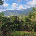 First image of Hermitage Norbrook Kingst in Kingston 8, St. Andrew, Jamaica - property is For Sale